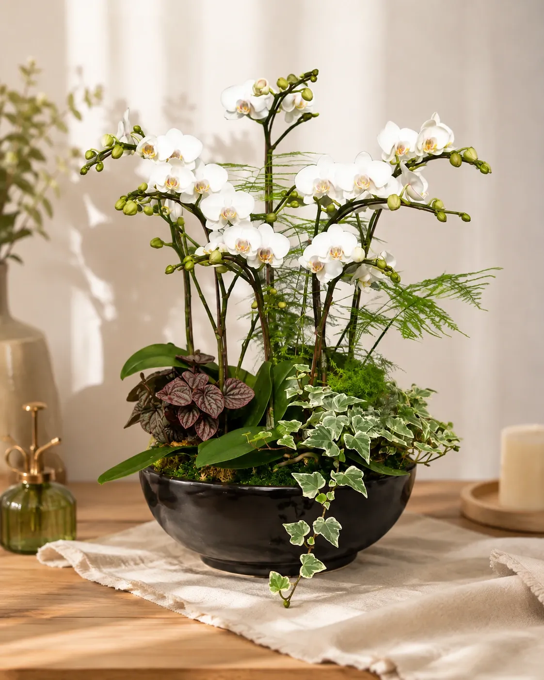 Photo de Compos d'orchidées
